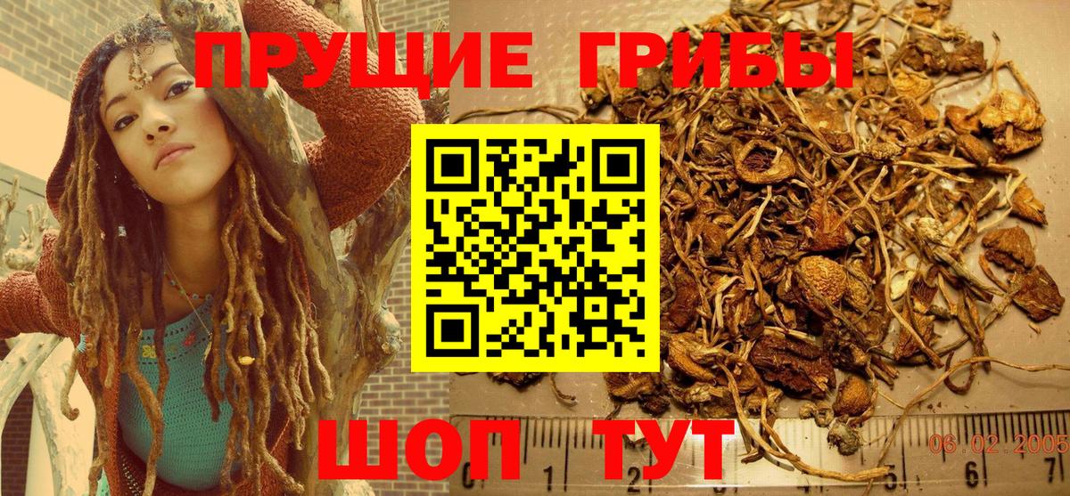 Кирово-Чепецк  Галлюциногенные грибы прущие грибы  сколько стоит  Вход с VPN 